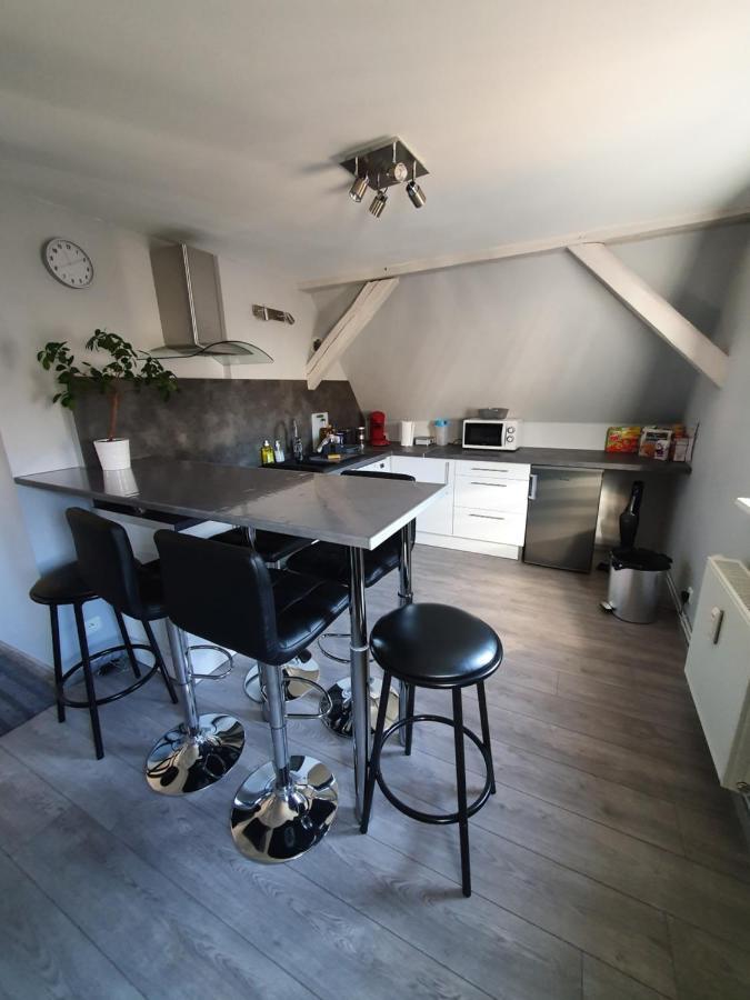Chic & Cosy Apartment Haguenau Ngoại thất bức ảnh